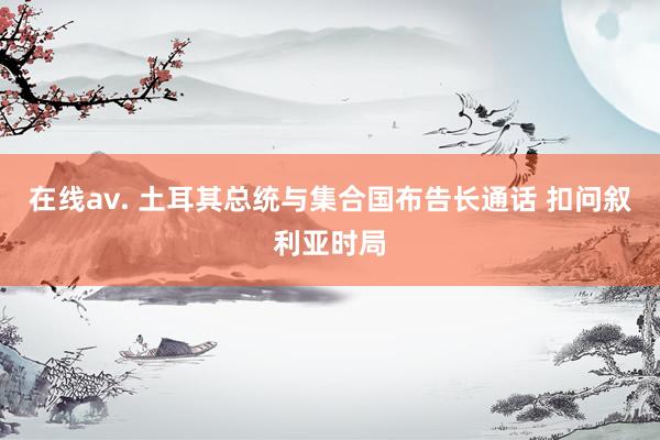 在线av. 土耳其总统与集合国布告长通话 扣问叙利亚时局